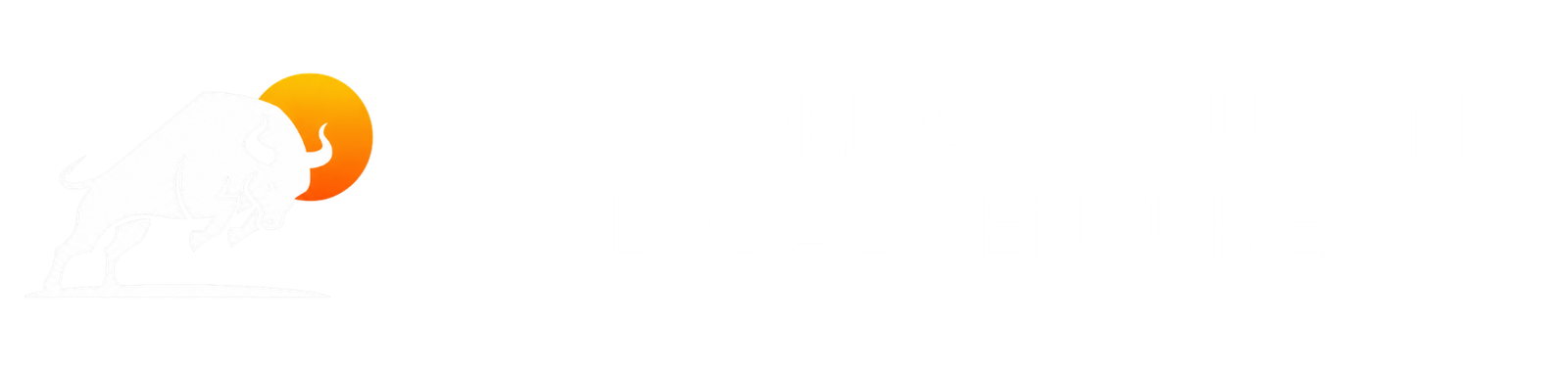 Zandel Consulting Global Venture