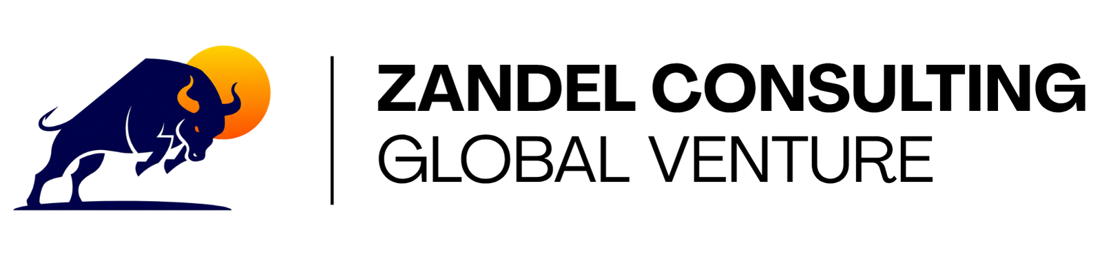 Zandel Consulting Global Venture